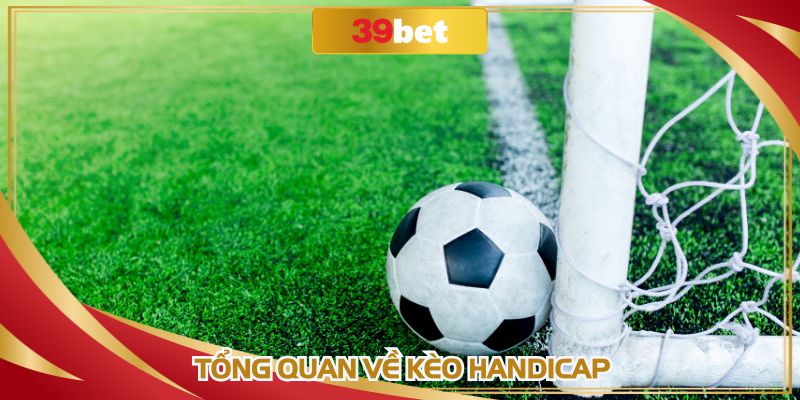 Hình thức quen thuộc với người mới bắt đầu